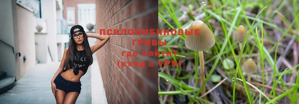 индика Алексеевка
