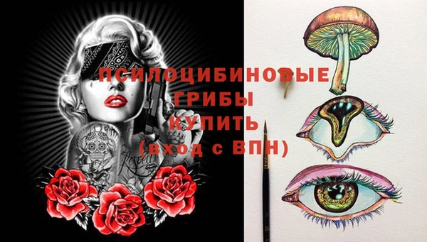 индика Алексеевка