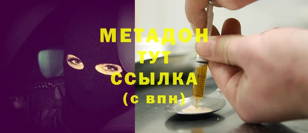 прущие грибы Алзамай