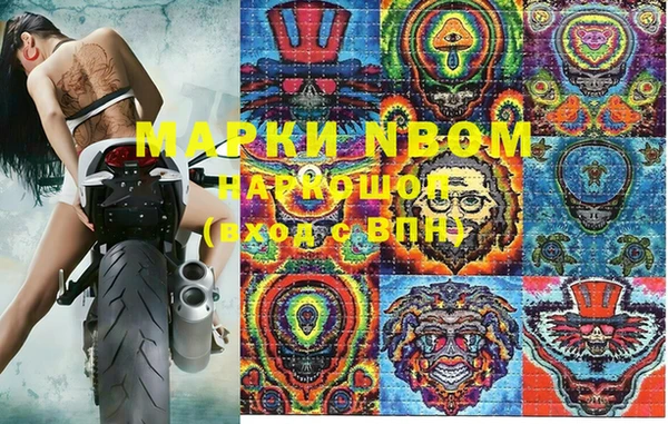 прущие грибы Алзамай