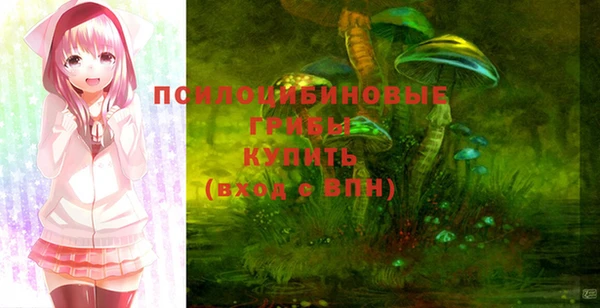 прущие грибы Алзамай