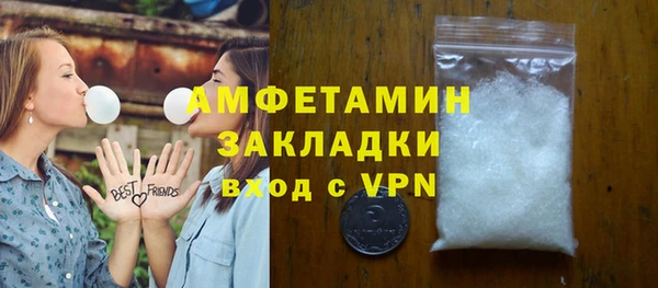 мет Алексин