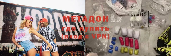 прущие грибы Алзамай
