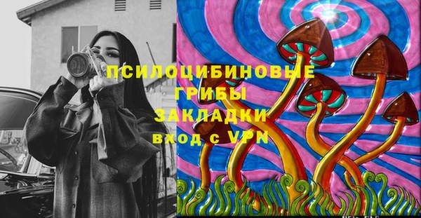 прущие грибы Алзамай
